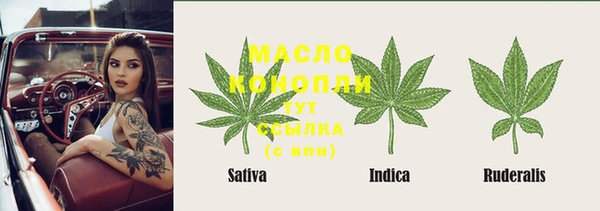 ГАЛЛЮЦИНОГЕННЫЕ ГРИБЫ Рославль
