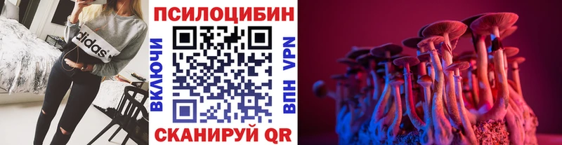 Псилоцибиновые грибы Magic Shrooms  маркетплейс Telegram  Гудермес 